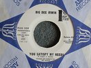 NORTHERN SOUL 45 Big Dee Irwin You Satisfy My Needs Rotate 851 Promo HEAR MP3