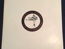 BEASTIE BOYS ? HIP HOP SAMPLER (SPRO-79461) 2X LP VINYL (EX/VG) '94 LTD ED PROMO