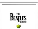 THE BEATLES in MONO 180g 14xLP VINYL BOX SET & 108 page HARDBACK BOOK LTD NEW