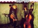 Stray Cats - S/t LP (Coloured Vinyl)