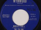 THE 7th SON: Modesty Part 1 WYNWOOD Soul Funk RARE 45 Hear IT 