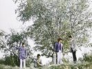 SMALL FACES - THERE ARE BUT FOUR SMALL FACES  VINYL LP NEW