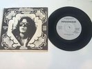 RARE Power Pop 45, Pic Sleeve - Soulshaker 