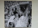 Björk  -  Vespertine    2LP   / original  Polydor 2001