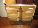 JESU Lifeline LP GOLD BLACK SPLIT godflesh neurosis