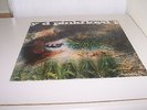 PINK FLOYD A SAUCERFUL OF SECRETS UK BLUE BLACK LABEL STEREO 1R 1R EARLY COPY