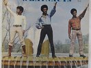 Whatnauts - Reaching For The Stars LP - Stang