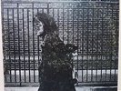 NEIL YOUNG - AFTER THE GOLD RUSH - USA 2 TONE REPRISE LP -