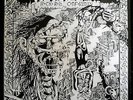 DEVIATED INSTINCT - Rock n Roll Conformity L.P. PUNK KBD CRASS CONFLICT RARE