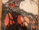 Nepentha Earth And Fire Vinyl - broken