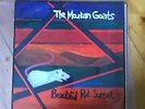 Mountain Goats - Beautiful Rat Sunset