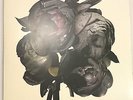 MASSIVE ATTACK Collected Best Of 3LP vinyl compilation SUPER RARE gatefold LP