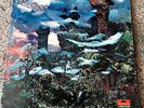Banchee Thinkin  PROMO