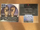 Pink Floyd  The Division Bell PICTURE LP COLLECTOR ISSUE RARE
