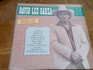 DAVID LEE GARZA - PERSONAL BEST - LP - VG