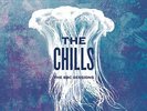 The Chills - BBC Sessions