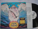 Steve Hillage m- white label promo LP Fish Rising