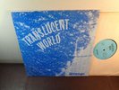 SCARCE 1973 PRIVATE ORIG   STRANGE   TRANSLUCENT WORLD   INSANE FUZZ jimi PSYCH