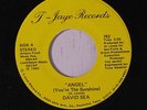 DAVID SEA: Angel 45 Soul