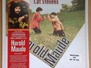 Cat Stevens 