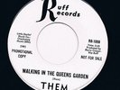 THEM i happen to love you / walking in the queens garden HEAR MINT 60s GARAGE