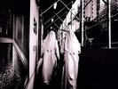 Thursday - Common Existence  2009 [Vinyl New]