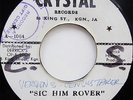 The Crystalites SIC HIM ROVER / WAY OUT Crystal RARE 45