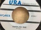 Homer 45 - I Never Cared For You / Dandilion Wine Texas Psych URA