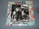 Angst - Mending Wall LP (SST) Rare