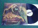 Toad – Same (Lp, Akarma Rec., foc, ca. 2000, RI) progressive, Vinyl 