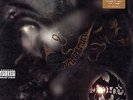 Method Man - Tical '94 LP US ORG RZA Raekwon Wu-Tang Clan