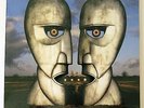 Pink Floyd - The Division Bell - Dark Green Marbled Vinyl  LP