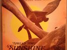 The Ambassador College Band LP Spread Some Sunshine Private Soul Funk VG+