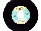 LOYAL OPPOSITION 45  RARE WI  GARAGE BAND on TARGET LABEL