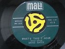 David Gates 
