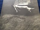 Vintage Jazz LP Bill Evans Jim Hall Undercurrent Original M- GFC