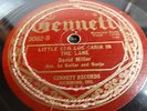 David Miller/George Ake Gennett 3062  Old-Time County Folk  78 rpm
