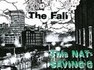 The Fall - This Nation's Saving Grace
