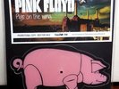 PINK FLOYD - RARE IMPORT SHAPED PICTURE DISC 7