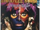 DAVID LEE ROTH Sonrisa Salvaje LP 9 Track Spanish Version With Inner But Inner H