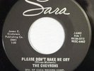 HEAR IT Wisconsin Garage SARA 45 rpm The Chevrons 