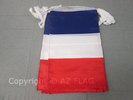 GUIRLANDE 12 mètres 20 DRAPEAUX FRANCE 45x30 cm - DRAPEAU FRANÇAIS 30 x 45 cm -
