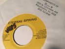Very RARE Funk Disco Boogie 45 Chuck Andrews Eternal Spring Philly Lbl.