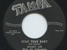 Hear- Rare Rockabilly 45- Dickey Lee/Collegiates- Stay True Baby- Tampa # 131