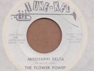 THE FLOWER POWER: Mississippi Delta 45 Tune-Kel psych hear
