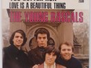YOUNG RASCALS: You Better Run / Love Is A Beautiful Thing NM- 45 w/ PS Atlantic