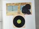 Wild Turkey LP - Turkey
