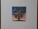 Talk Talk - Laughing Stock LP (US Reissue 2016), mint, free shipping worldwide