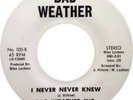 Northern Soul 45 Bad Weather Inc 100 I Never Never Knew