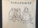 Rare PRIVATE Latin LP PARACUMBE Bomba Y Plena PUERTO RICO Hear mp3